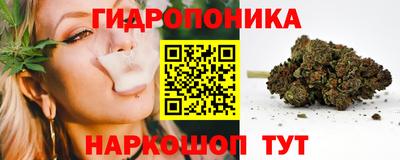 не бодяженный Кингисепп