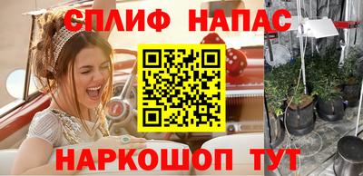 не бодяженный Кингисепп
