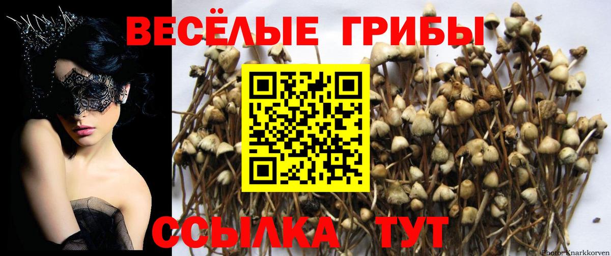 MDMA Кропоткин