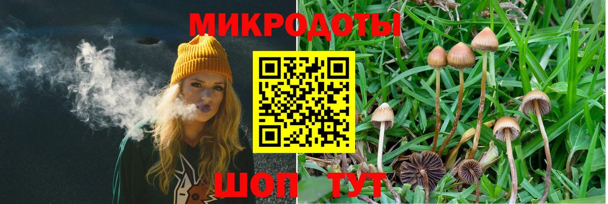 Галлюциногенные грибы мицелий Кропоткин