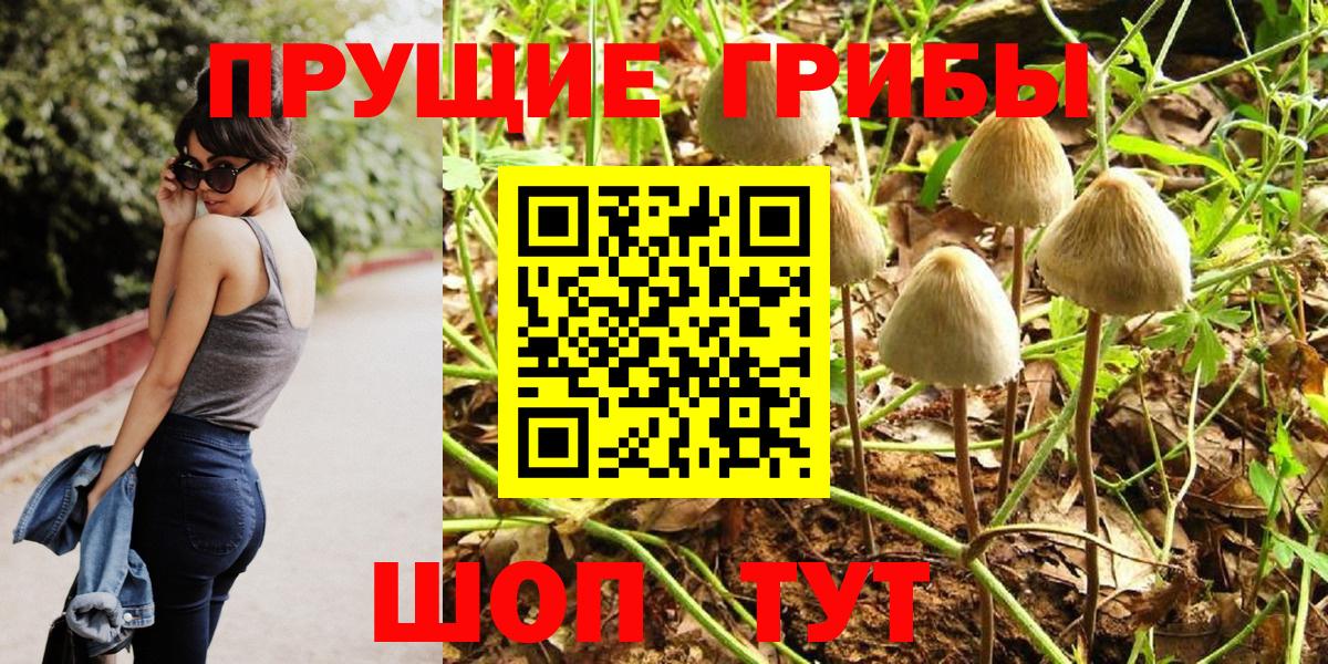 Кропоткин  Псилоцибиновые грибы GOLDEN TEACHER  цены   Вход с VPN  Псилоцибиновые грибы Magic Shrooms 
